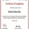 buy Diplom Degree from the University of Global Health Equity