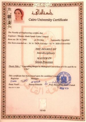 Buy college degree from The American University in Cairo