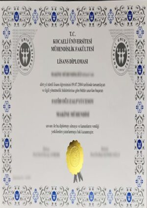 Buy college degree from the Kocaeli Üniversitesi