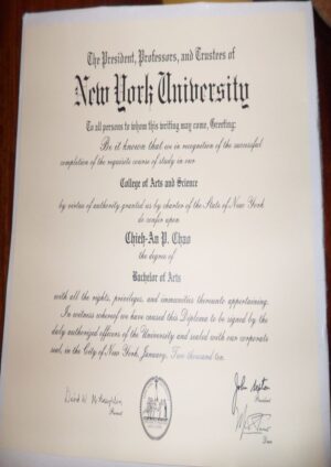 Buy college degree from the  New York University Abu Dhabi